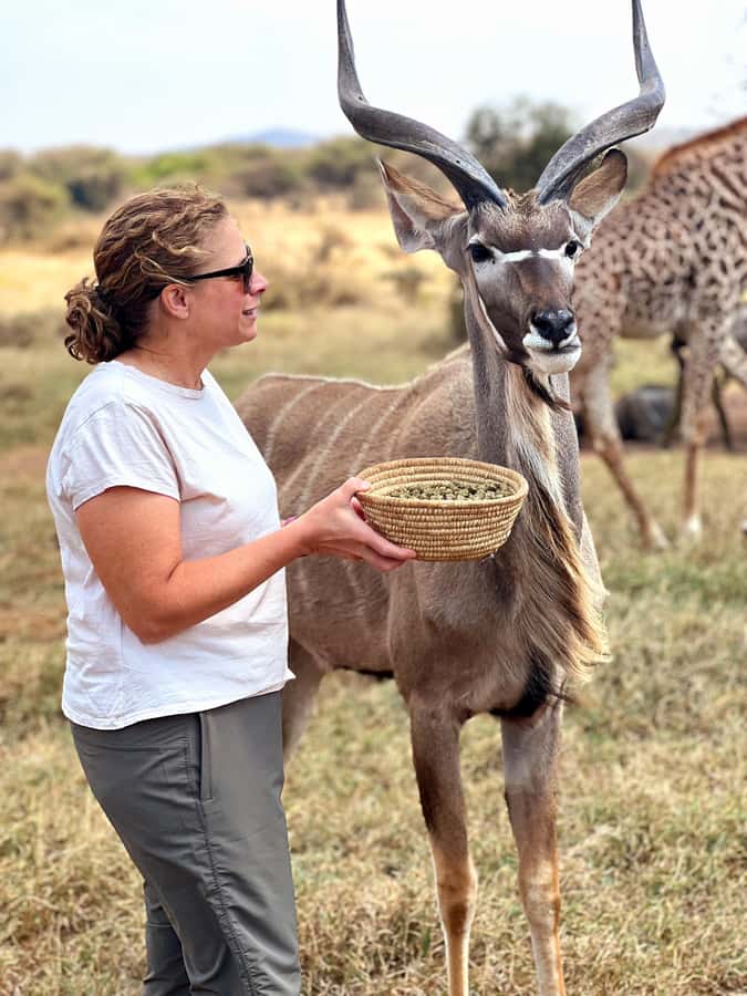 From Moshi or Arusha: Serval Wildlife Sanctuary Trip - Why the animal-choice policy matters