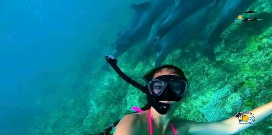 From Nungwi/Kendwa: Mnemba Atoll Starfishes & Dolphins Tour - Who will enjoy this half-day trip