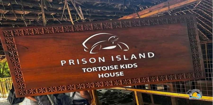 From Nungwi/Kendwa: Prison Island & Nakupenda Sandbank Tour - Who will enjoy this seven-hour outing?