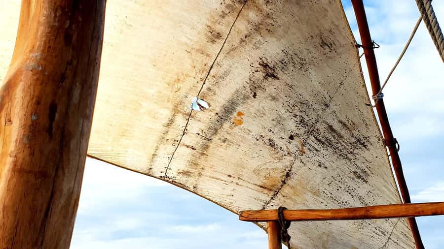 From Nungwi : Mnemba Boat Trip and Dolphin Snorkel Adventure - Key points to know before booking