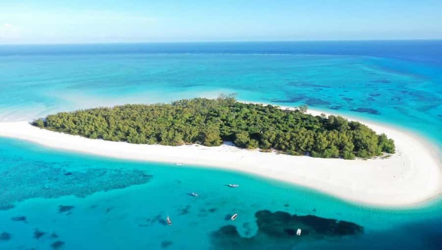 From Nungwi : Mnemba Boat Trip and Dolphin Snorkel Adventure - The dolphin stop: thrilling, fast, and unpredictable