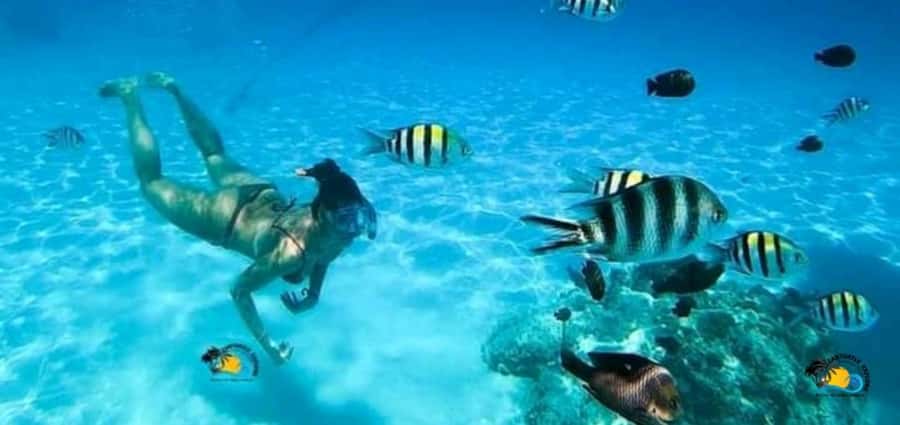From Nungwi: Mnemba Island Dolphin Watching and Snorkeling - Leaving Nungwi by van, tuk tuk, or on foot