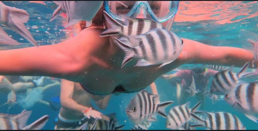 FROM NUNGWI; MNEMBA SNORKELING AND DOLPHIN TOUR - Mnemba’s clear water is the real star