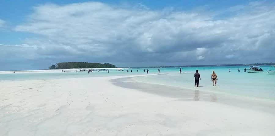 FROM NUNGWI; MNEMBA SNORKELING AND DOLPHIN TOUR - Snorkeling over coral and fish