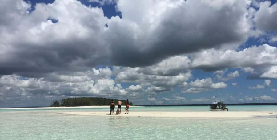 FROM NUNGWI; MNEMBA SNORKELING AND DOLPHIN TOUR - A second sea stop with starfish and sea urchins