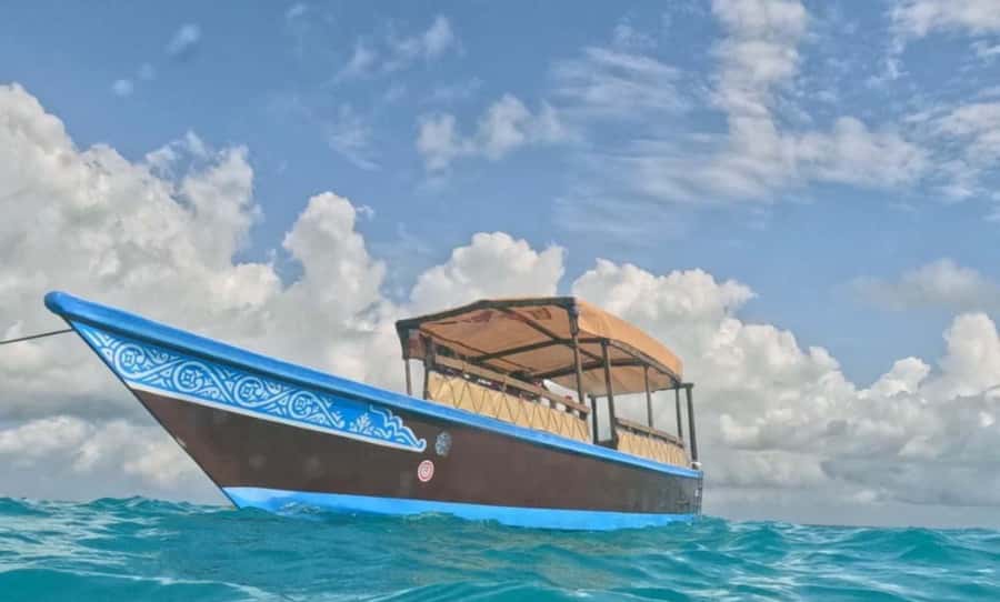FROM NUNGWI; MNEMBA SNORKELING AND DOLPHIN TOUR - Fresh fruit on the water