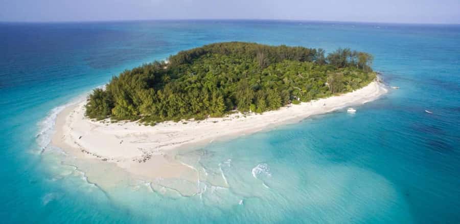 FROM NUNGWI; MNEMBA SNORKELING AND DOLPHIN TOUR - Practical advice before you go