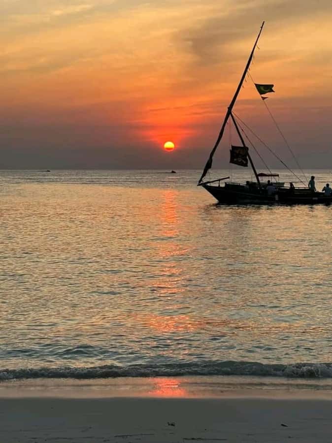 FROM NUNGWI; SUNSET DHOW CRUISE EXPERIENCE - Golden light, open water, and photo opportunities