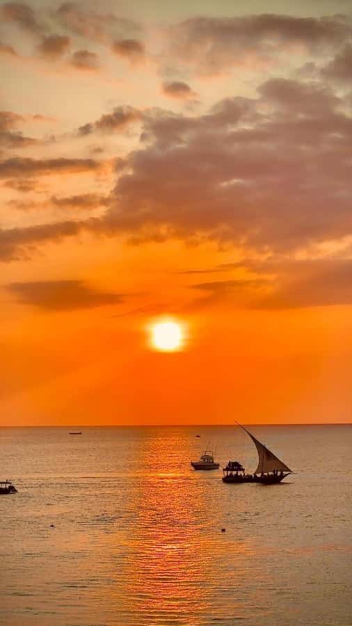 FROM NUNGWI; SUNSET DHOW CRUISE EXPERIENCE - Who will enjoy this Nungwi cruise most