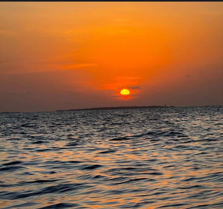 FROM NUNGWI; SUNSET DHOW CRUISE EXPERIENCE - Should you book the $30 sunset dhow cruise?