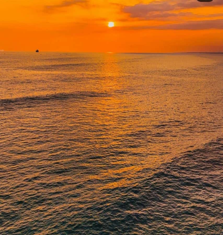 From Nungwi: Sunset Dhow Cruises - The sunset is the main event