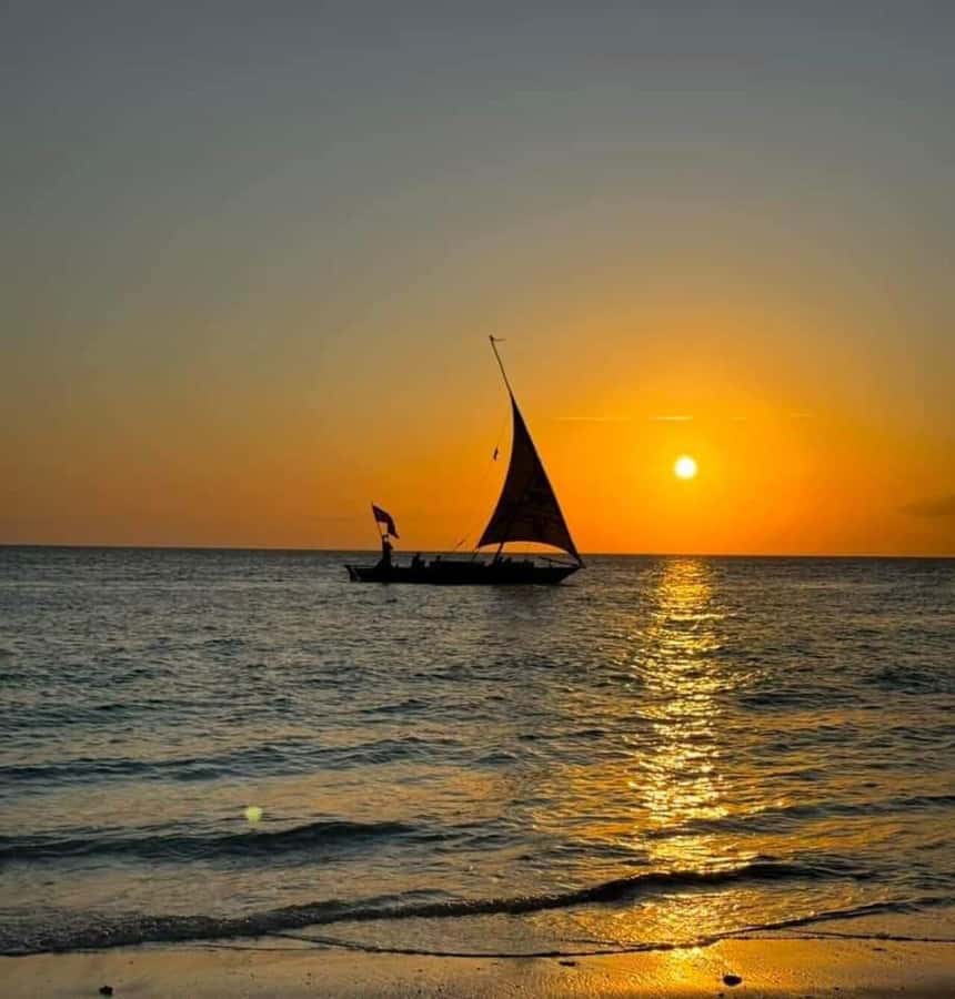 From Nungwi: Sunset Dhow Cruises - A closer look at the two-hour cruise