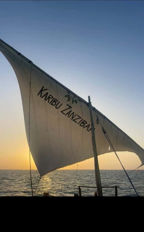 From Nungwi: Sunset Dhow Cruises - What sailing a traditional dhow actually feels like