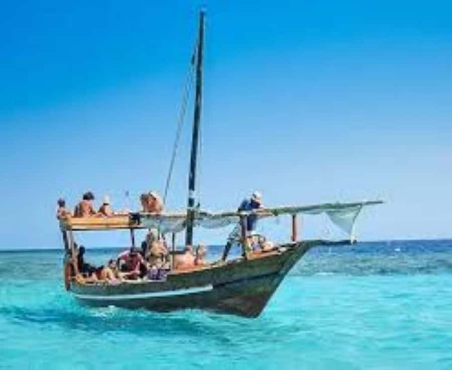 From Paje/Jambian: Safari Blue Snorkelling with Lunch - Key points to know before booking