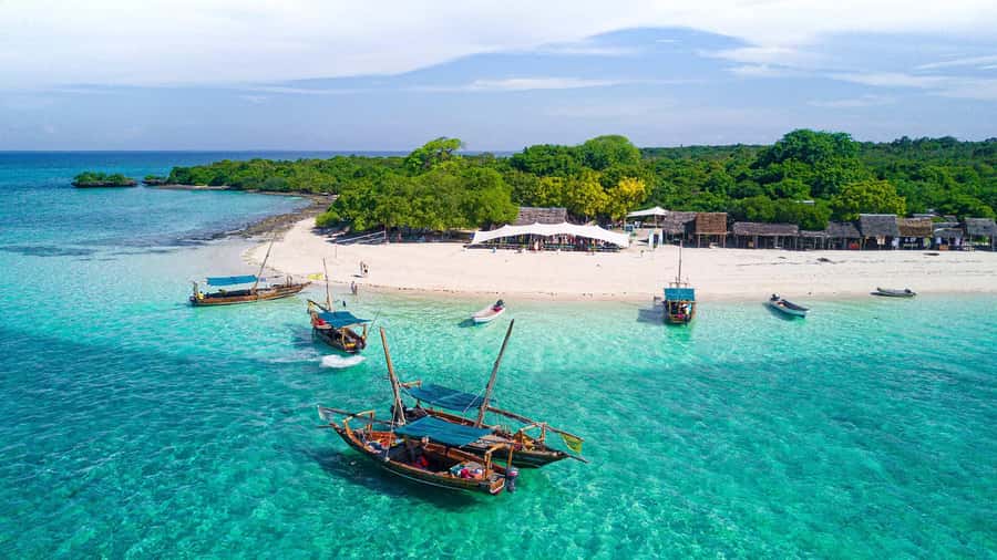 From Paje/Jambian: Safari Blue Snorkelling with Lunch - Sailing Menai Bay on a wooden dhow