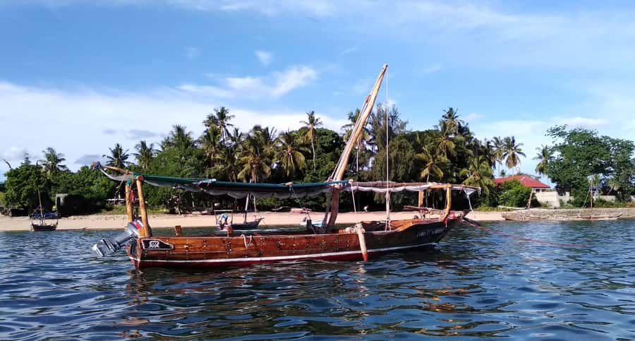 From Stone Town: Sandbank picnic with sea food BBQ Lunch - The 500-year-old baobab tree