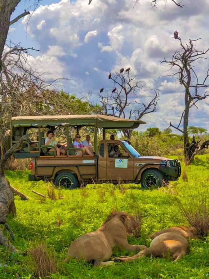From Zanzibar: 2 Days 1 Night Selous GR Safari with Flights - The best reasons to choose this safari