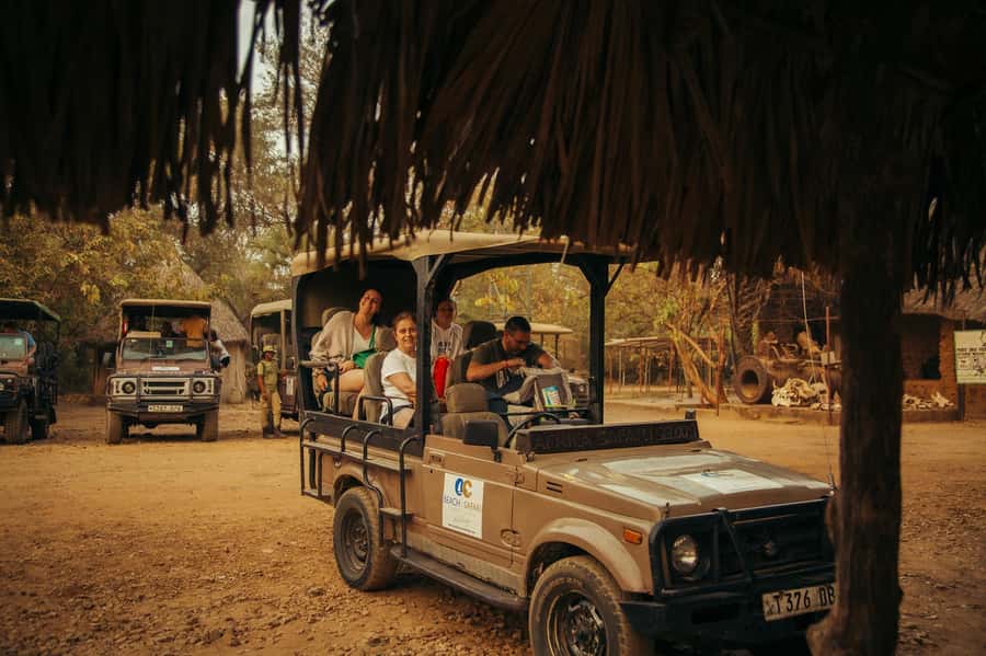 From Zanzibar: 3-Day Selous Safari Trip with Flights - Bush lunch in the middle of the park