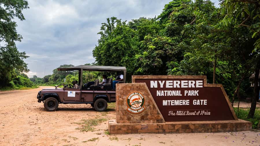 From Zanzibar: 3-Day Selous Safari Trip with Flights - Day two: walking the bush