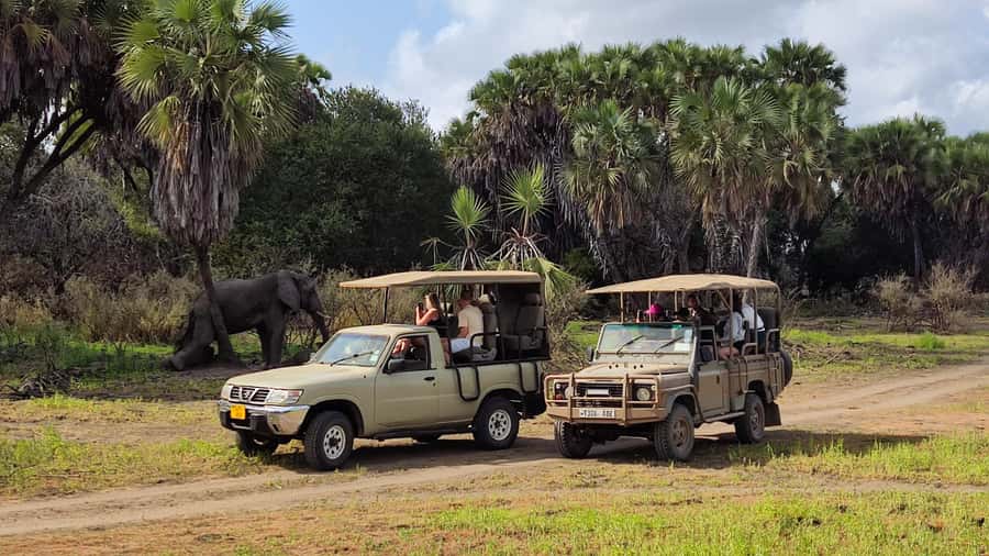 From Zanzibar: Day Safari to Selous Game Reserve with flight - Why Selous works as a one-day escape from Zanzibar
