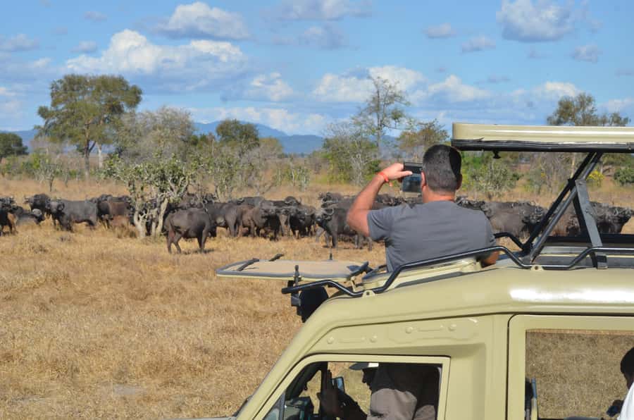From Zanzibar: Day Safari to Selous Game Reserve with flight - The first game drive in Selous