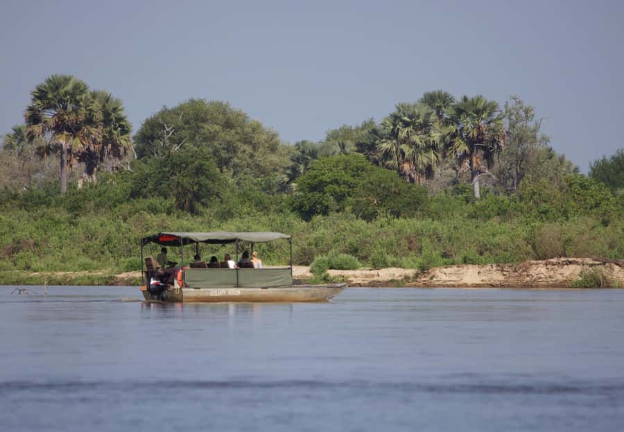 From Zanzibar: Day Safari to Selous Game Reserve with flight - Drawbacks you should consider before paying