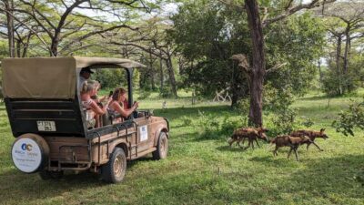 Day Selous Game Reserve Safari with Flights