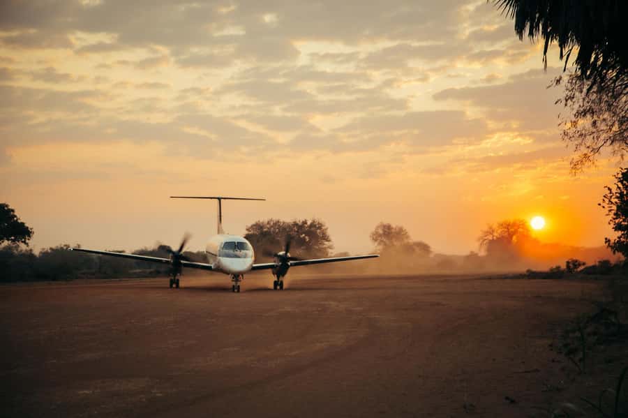 From Zanzibar: Day Selous Game Reserve Safari with Flights - Is $470 good value?