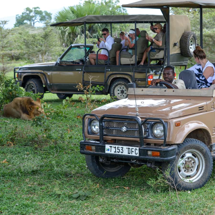 From Zanzibar: Day Selous Game Reserve Safari with Flights - Should you book it?
