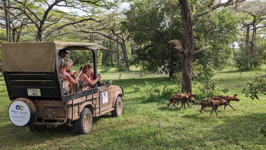 From Zanzibar: Day Selous Game Reserve Safari with Flights - Why Nyerere works for a one-day safari