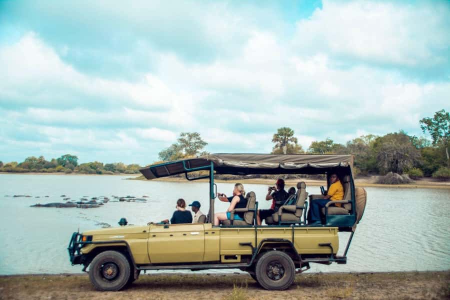 From Zanzibar: Mikumi Day Trip Safari By Flight. - Why Mikumi works for a one-day safari from Zanzibar