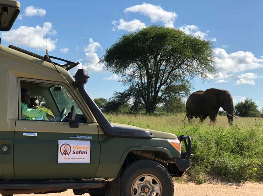 From Zanzibar: Mikumi National Park Guided Safari - Flying from Zanzibar to Mikumi by 7:00