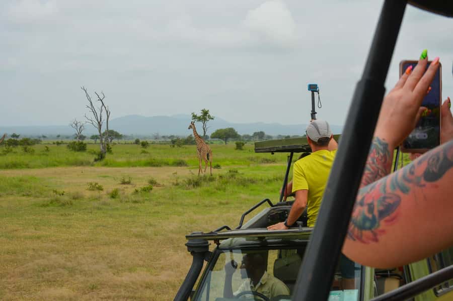 From Zanzibar: Mikumi National Park Guided Safari - The return flight is the day’s weak spot