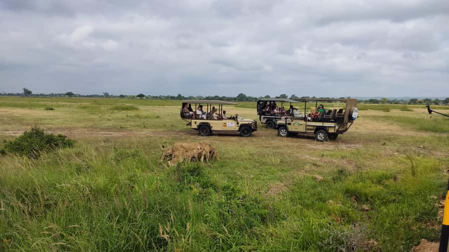 From Zanzibar: Mikumi National Park Guided Safari - Is $550 a fair price?