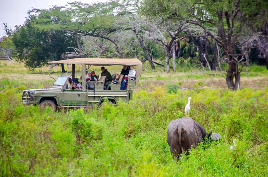 From Zanzibar: Mikumi National Park Guided Safari - What to bring and how to prepare