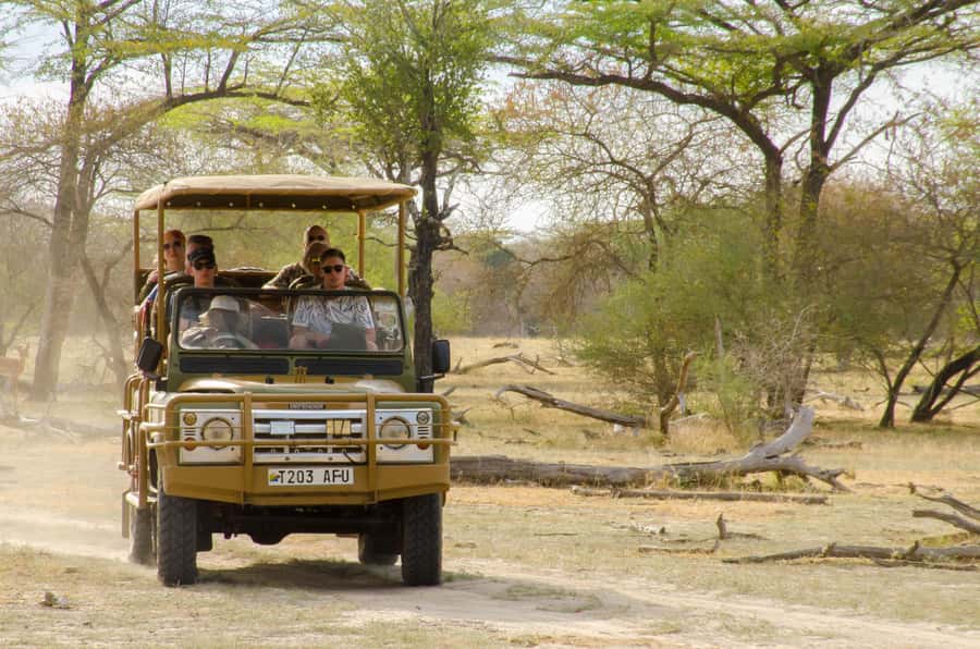 From Zanzibar: Mikumi National Park Guided Safari - FAQ