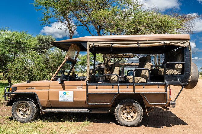 From Zanzibar: Mikumi Safari Day Trip with Flights and Meal - Bush lunch around 1:00