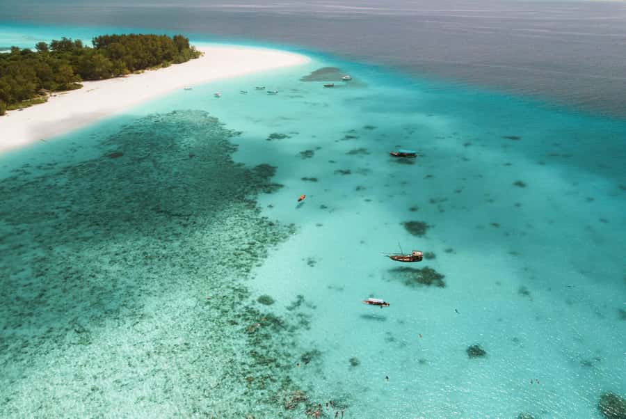 From Zanzibar: Mnemba Boat Tour with Snorkeling & Dolphine - Key points to know before booking