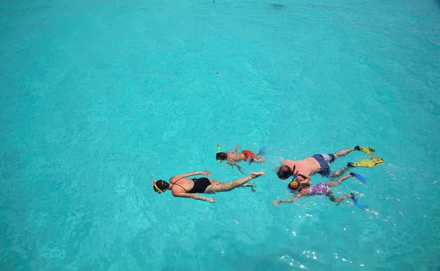 From Zanzibar: Mnemba Boat Tour with Snorkeling & Dolphine - Turtles, coral, and the small details that matter