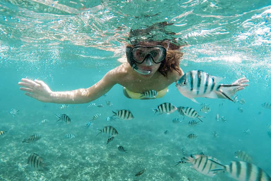 From Zanzibar: Mnemba Boat Tour with Snorkeling & Dolphine - The dolphin stop: exciting, wild, and not always comfortable