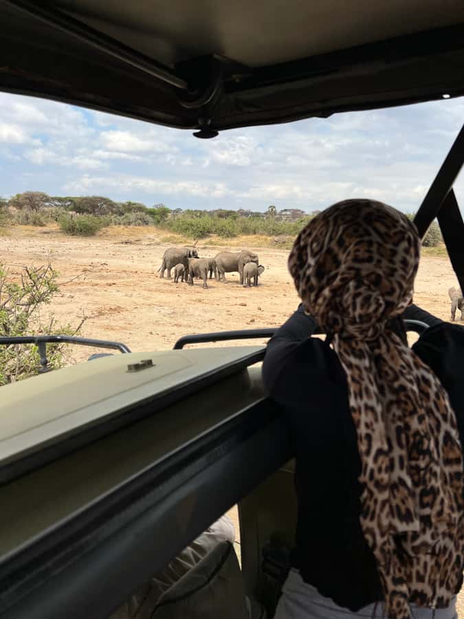 From Zanzibar: Nyerere National Park Game Drive with Lunch - Bush lunch at about 1:30