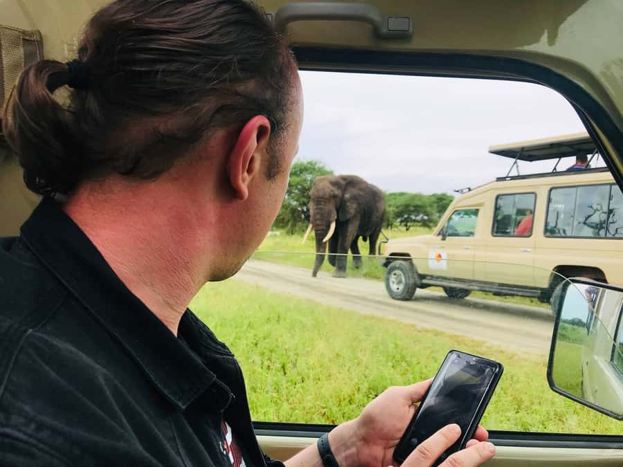 From Zanzibar: Nyerere National Park Game Drive with Lunch - The return flight and hotel drop-off