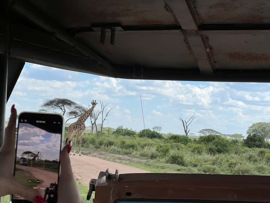 From Zanzibar: Nyerere National Park Game Drive with Lunch - Who should book this experience?