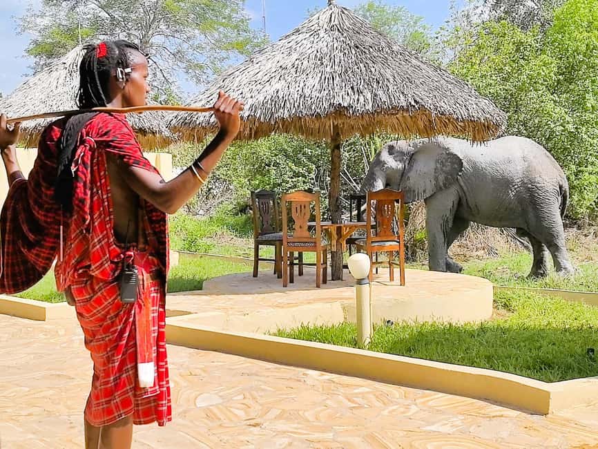 From Zanzibar: Overnight Selous G.R. Safari with Flights - Key points to know before booking