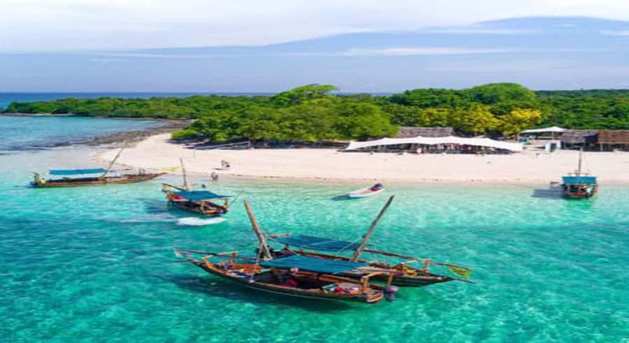 From Zanzibar: Safari Blue Snorkeling Trip with Lunch - Sailing the Menai Bay Conservation Area