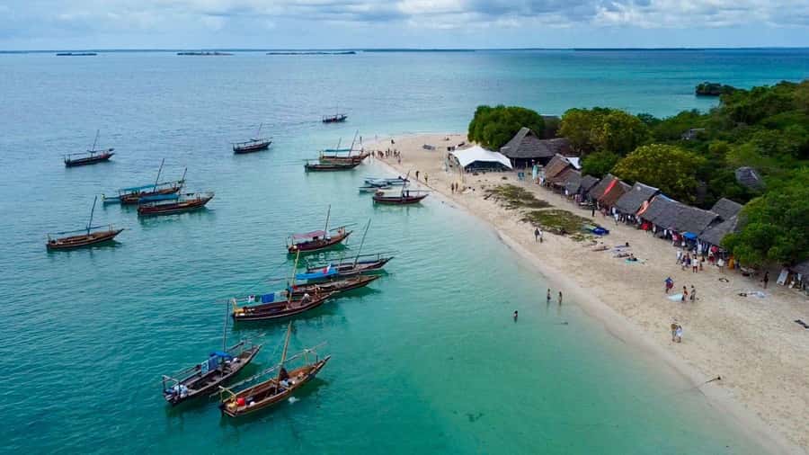 From Zanzibar: Safari Blue Snorkeling Trip with Lunch - Snorkeling the coral reefs