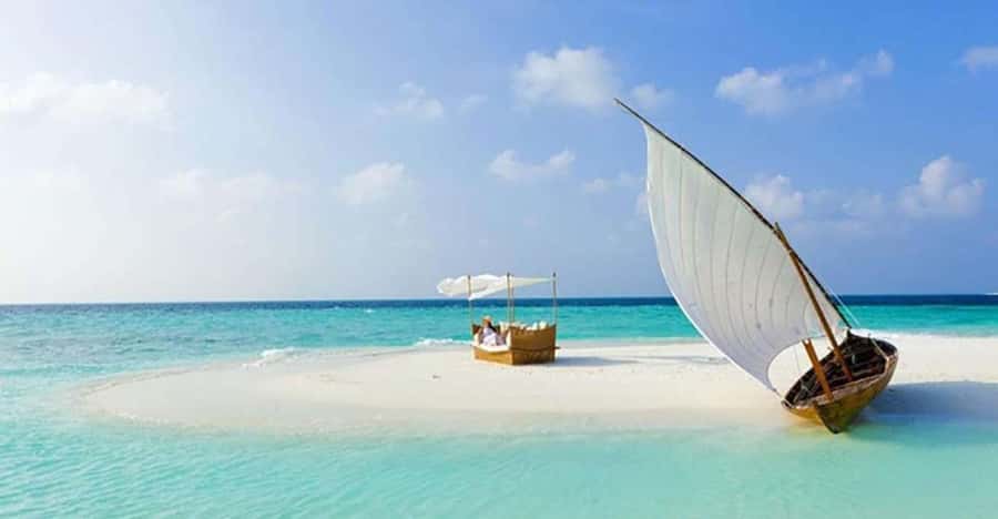 From Zanzibar: Safari Blue Snorkeling Trip with Lunch - Who will enjoy this trip most