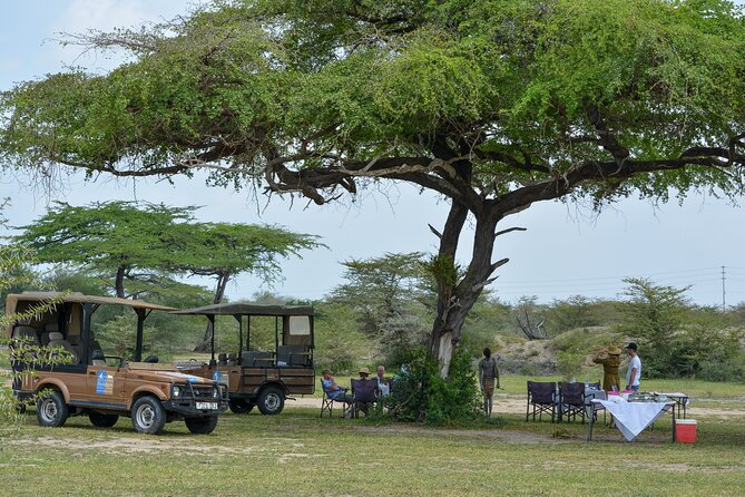From Zanzibar: Selous Game Reserve Day Safari with Flights - The Short Flight to Selous