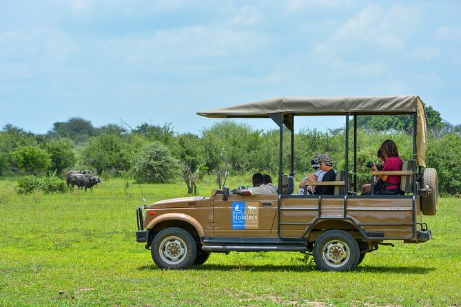 From Zanzibar: Selous Game Reserve Day Safari with Flights - A Real Bush Lunch, Not Just a Snack