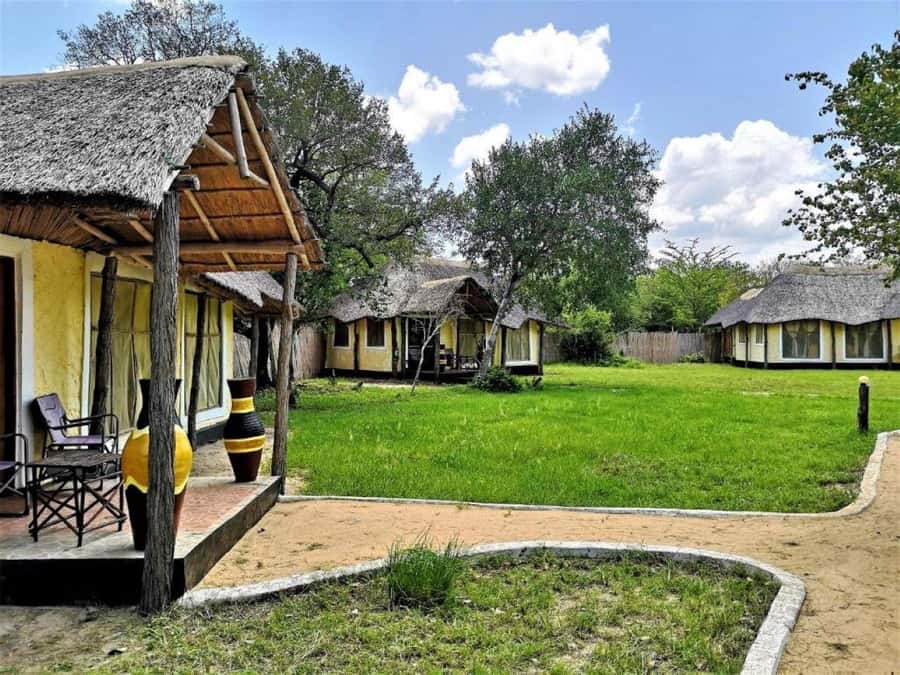From Zanzibar: Selous Game Reserve Full-Day Safari - A Bush Lunch in the Middle of the Day